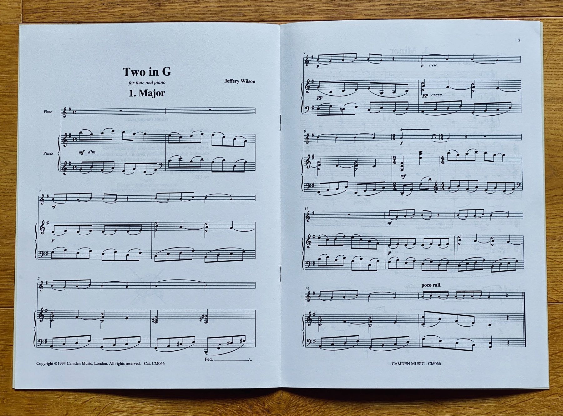 Strumenti musicali: Two in G von Jeffery Wilson – Usato da Luzern venduto da Tibia71 1