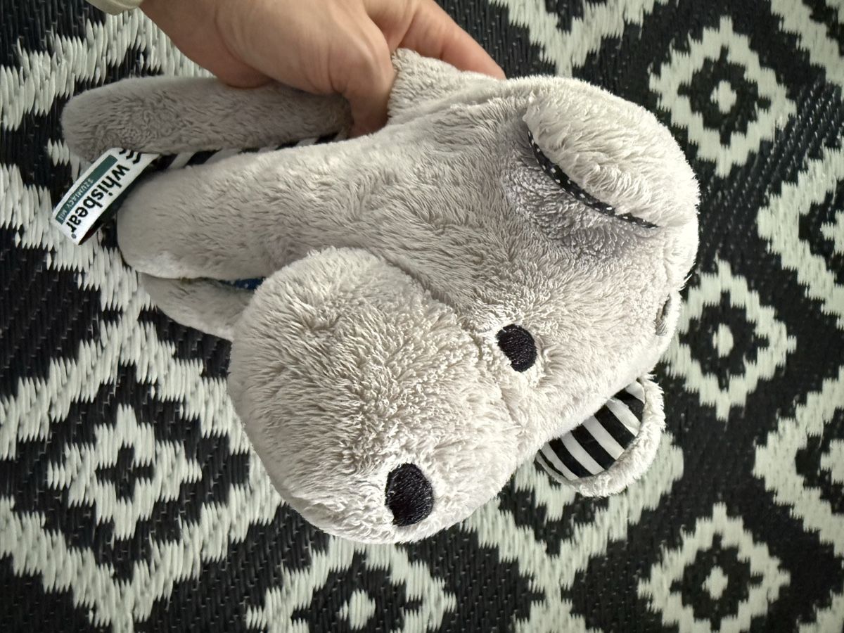 Giocattoli: Ourson Whisbear vibrant – Usato da Bremgarten b. Bern venduto da nathalie83