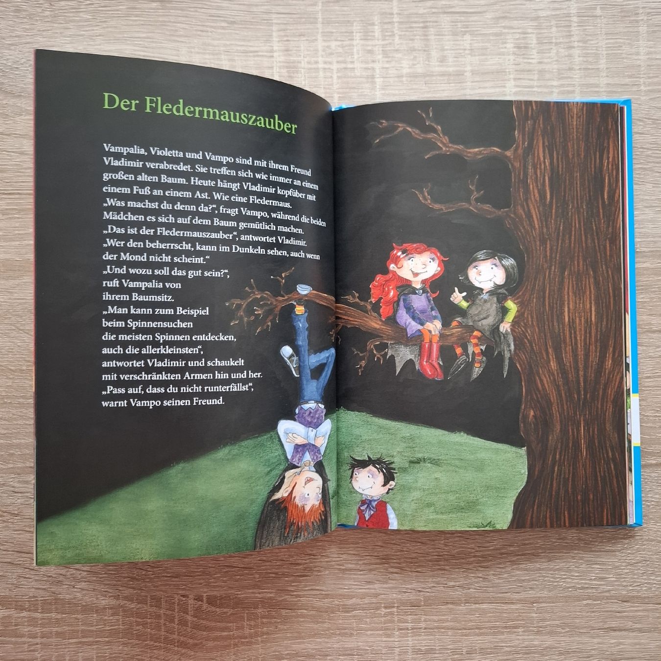 Libri: Vampir Abenteuer Kinderbuch, ab 6 J. – Nuovo (secondo la descrizione) da Hägglingen venduto da Pilipadin 4
