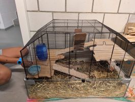 Hamster Cage Set with Accessories Used