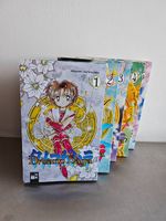 Dream Saga Megumi Tachikawa