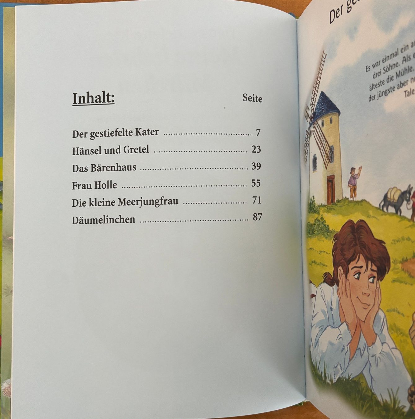 Libri: Meine liebsten Märchen – Nuovo (secondo la descrizione) da Sarnen venduto da Livres 2