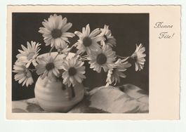 Postkarte Margeriten für das Fest, "Bonne Fête" 28.02.1937