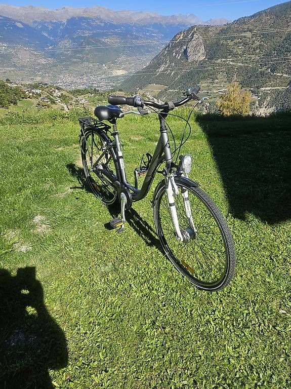 Biciclette: City bike  – Usato da Vex venduto da Chrisclay 3