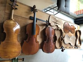 Violons en cours de restauration