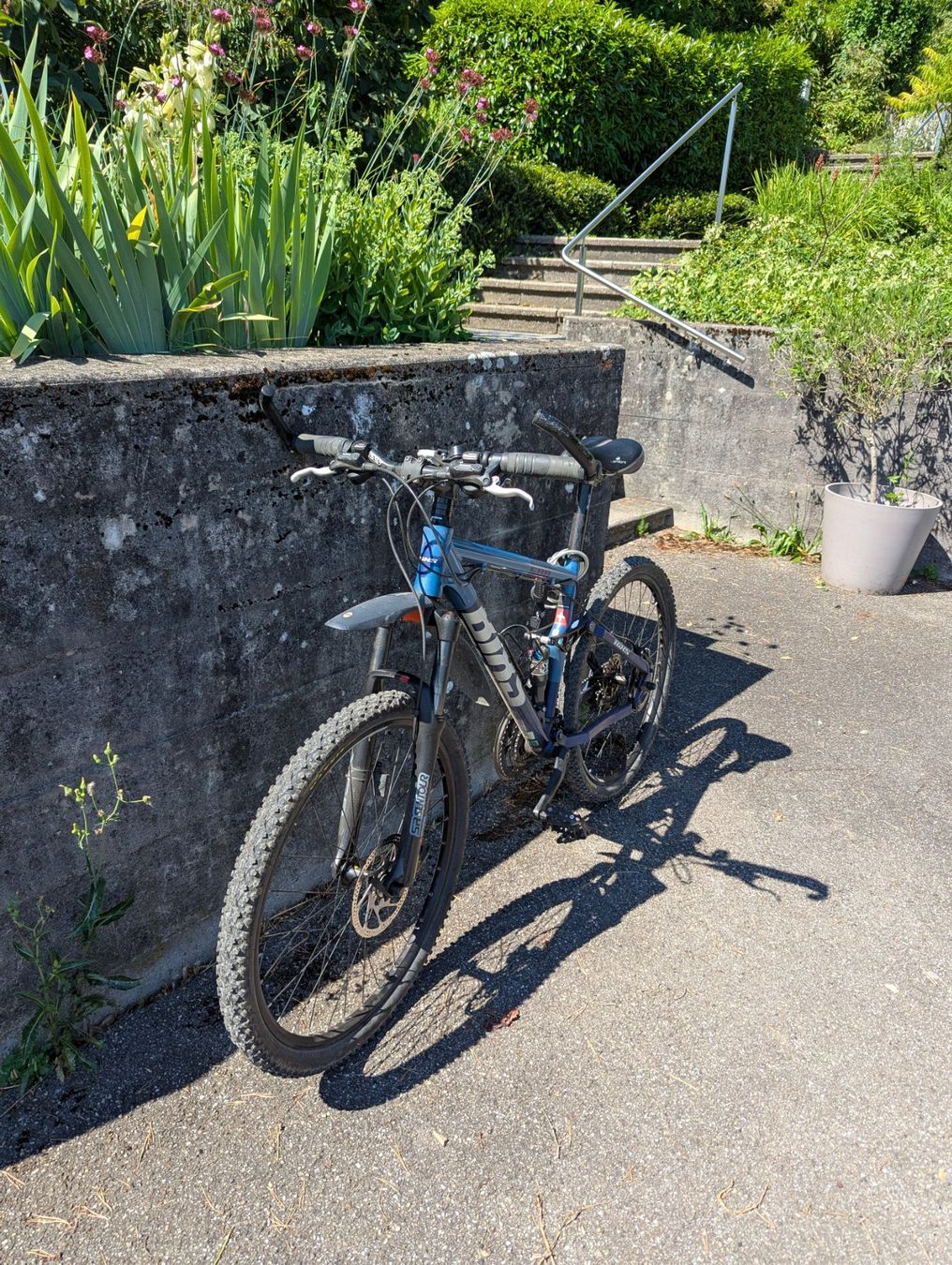 Bixs Chamois 500 Fully Damen-Mountainbike - kaum gebraucht (Gebraucht) in  Trimbach fr CHF 299  nur Abholung auf Ricardo kaufen