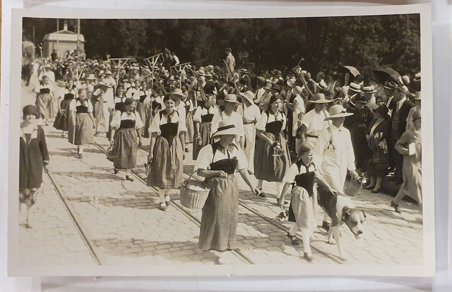 Cartoline postali: Bern - 8 alte Ansichtskarten Umzug Trachten – Usato da Kreuzlingen venduto da Rschweiz1 4