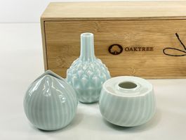 🌱 OAKTREE "Seed" Mini-Vasen Set – 3-teilig in Bambus-Box