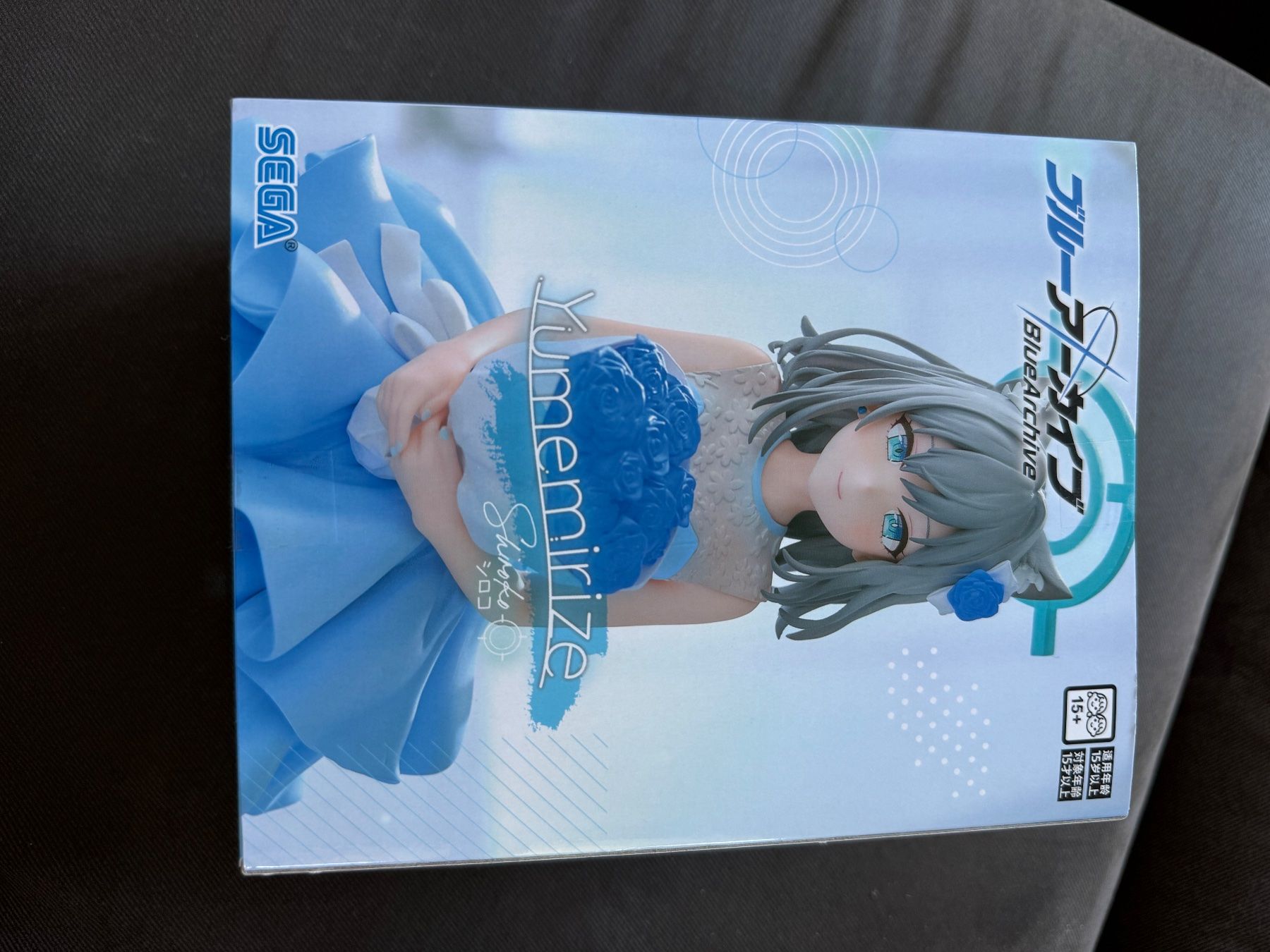 Giocattoli: The Sega Blue Archive Yumemirize Shiroko – Usato da Stadel venduto da silentjelly