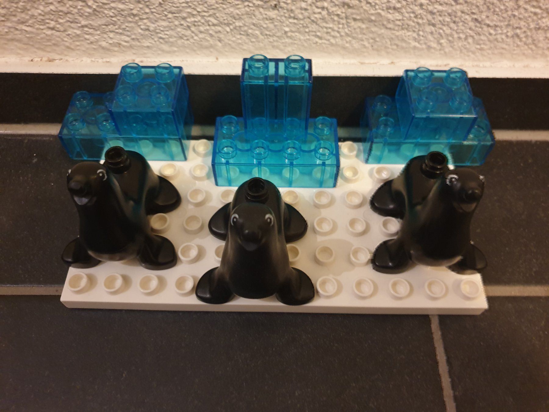 Giocattoli: Lego Duplo Robben (21) – Usato da Münchwilen TG venduto da VT-Trader