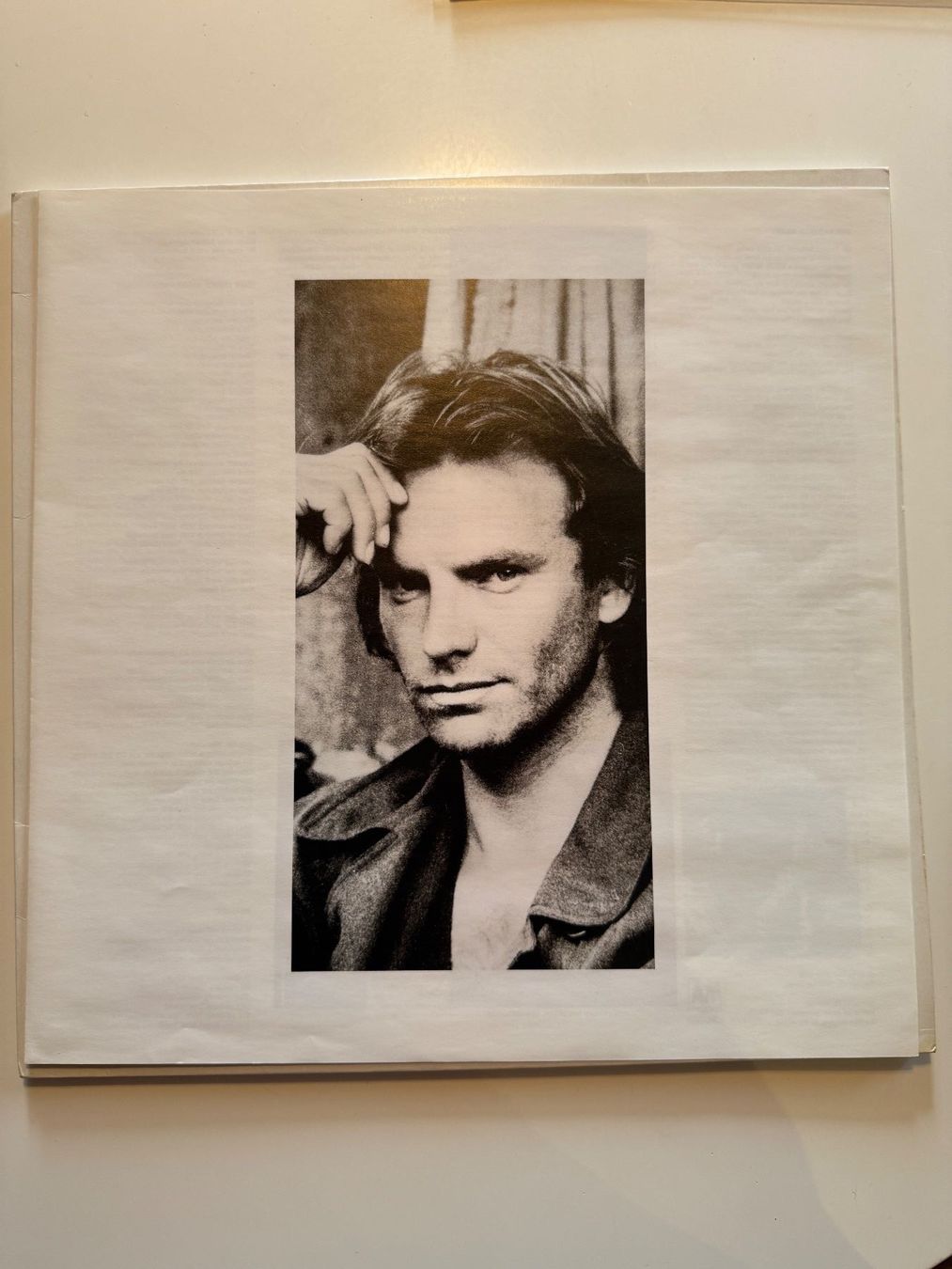 Dischi in vinile: Sting – ...Nothing Like The Sun - Original – Usato da Unterägeri venduto da hero87333 2
