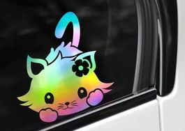 😺 🚗 Lustiger Auto-Aufkleber "Süsses Büsi" 🐱💫