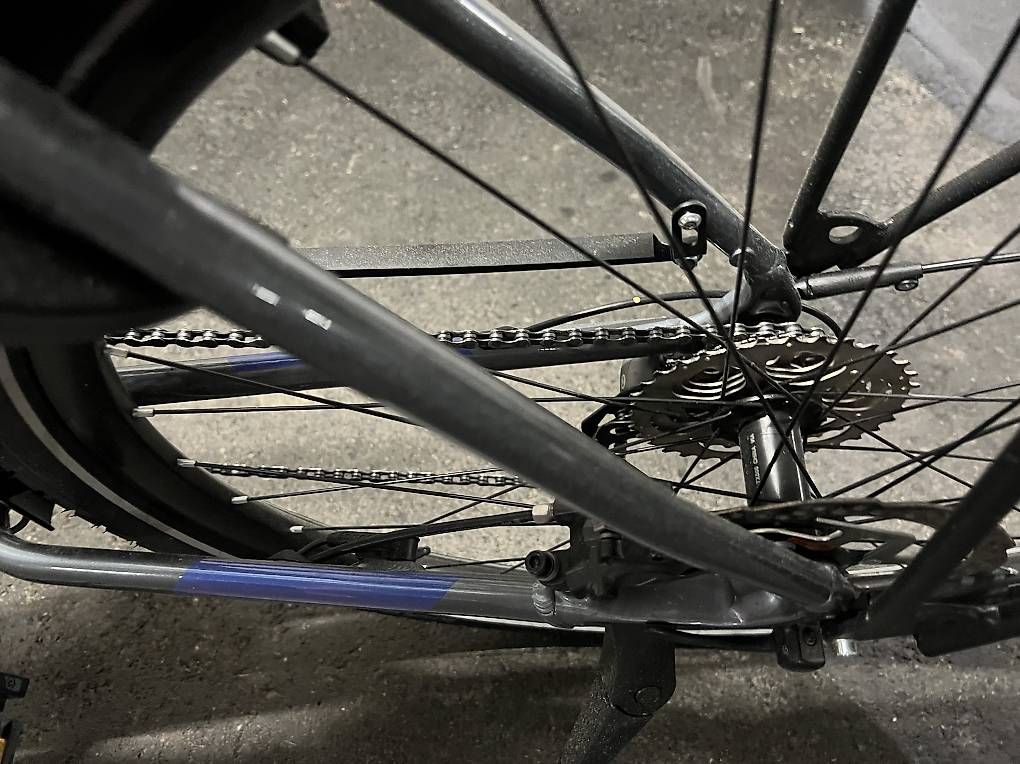 Velos: E-Bike – Gebraucht aus Chur von Benutzerin8 3