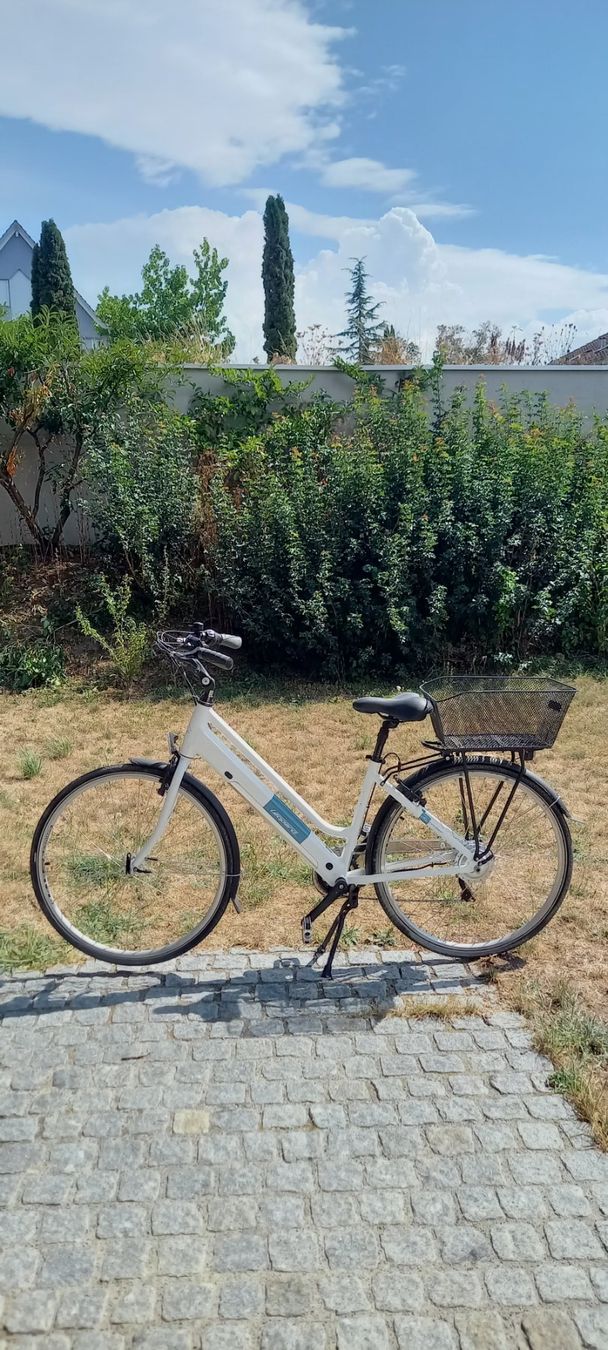 Leopard Velos: E Velo city cruiser – Gebraucht aus Höri von bsc_68fw
