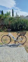 E Velo city cruiser