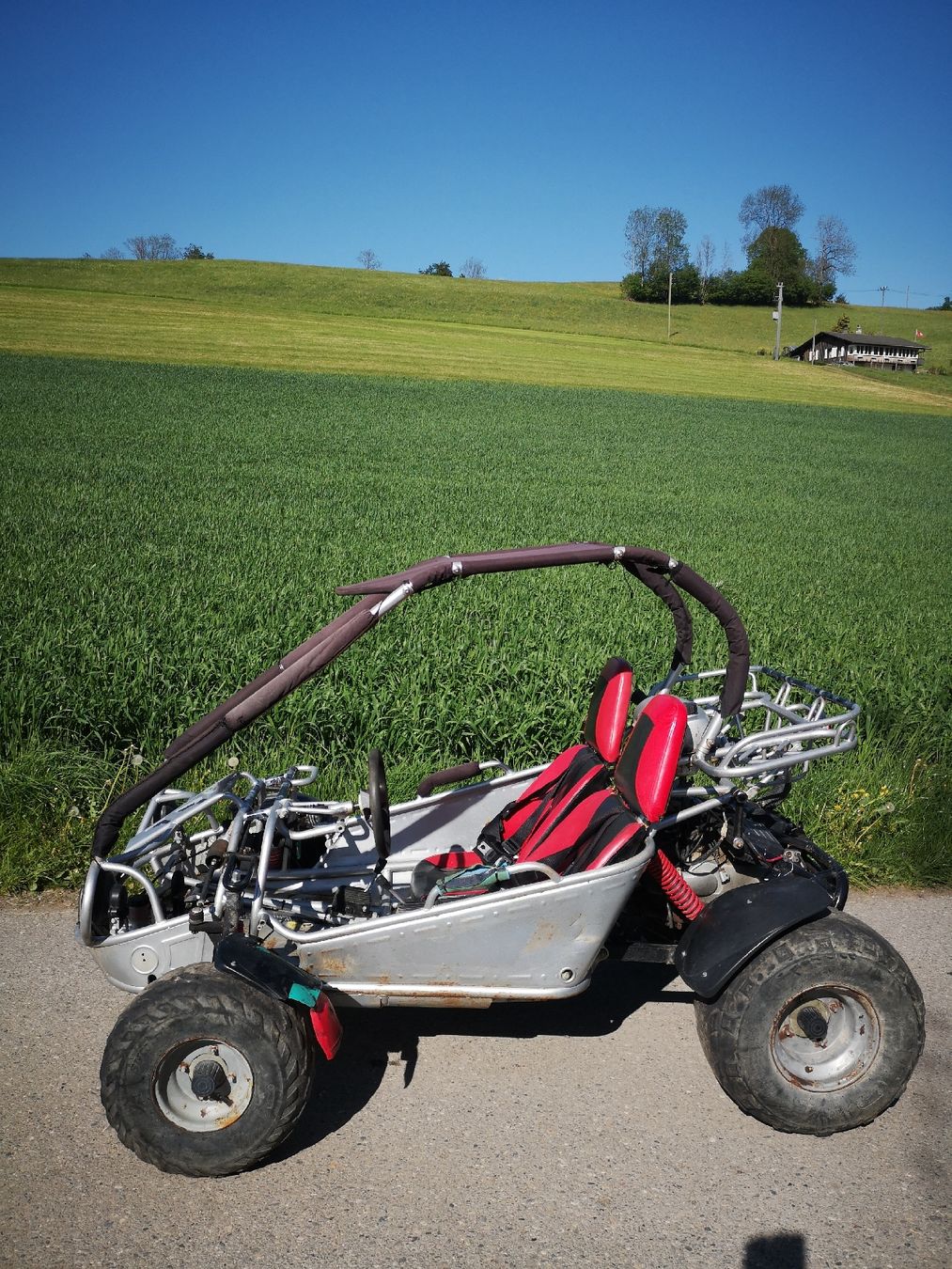 Altro: Hammerhead Biggies, 150 ccm – Usato da Höfen b. Thun venduto da ham_llv8 1