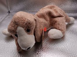 Ty Beanie Baby  SNIFFER .. Geb.06.05.2000