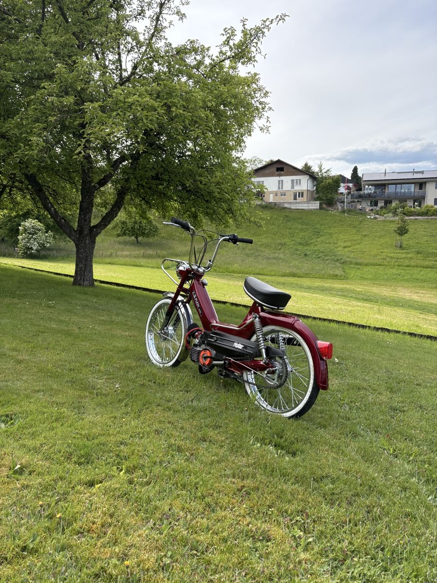 Puch Ciclomotori: Puch Maxi S – Usato da Amlikon-Bissegg venduto da PiotrB01 2