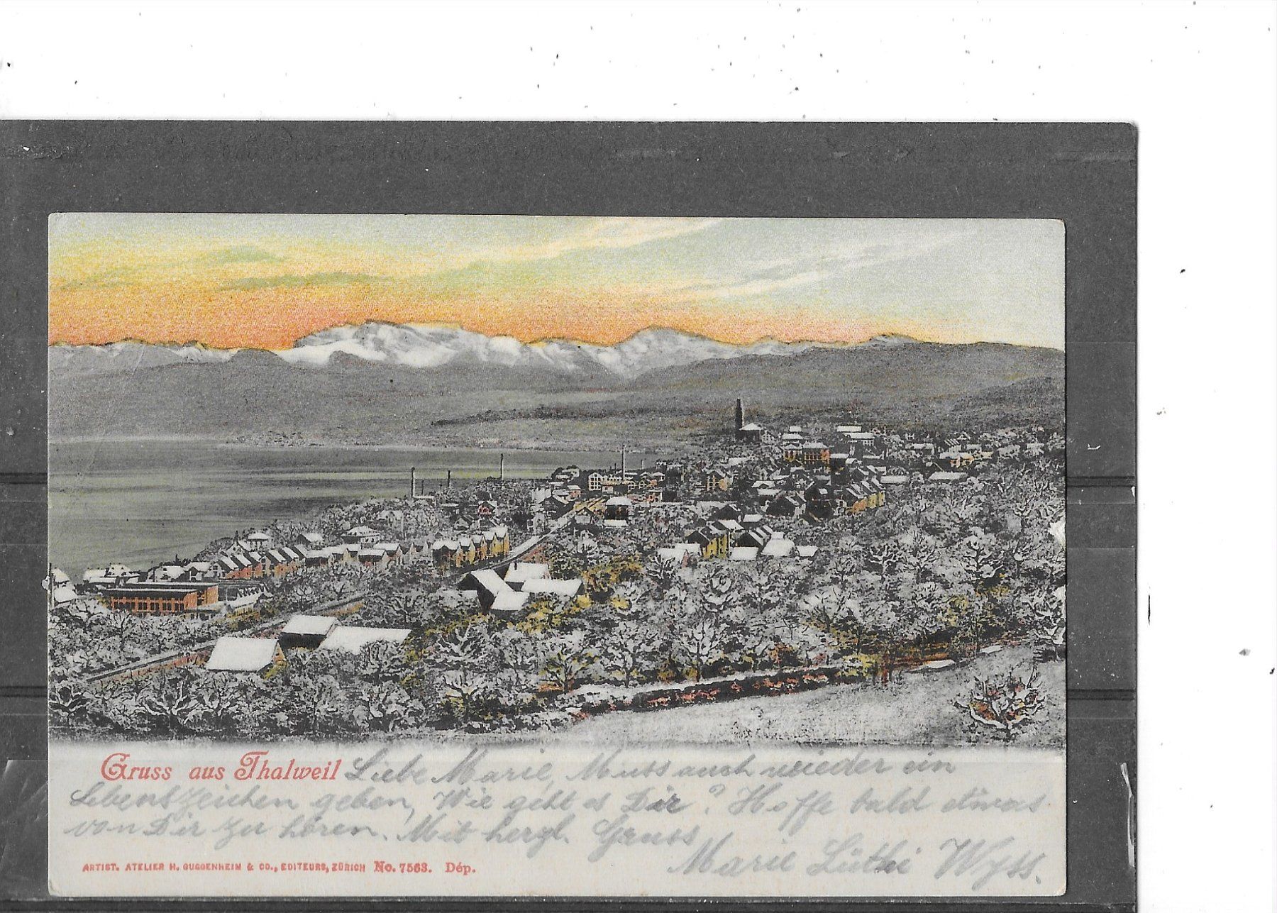 Cartoline postali: ZH Gruss aus Thalwil 1909 – Usato da Schocherswil venduto da Wilare
