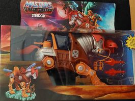 Stridor motu origins 