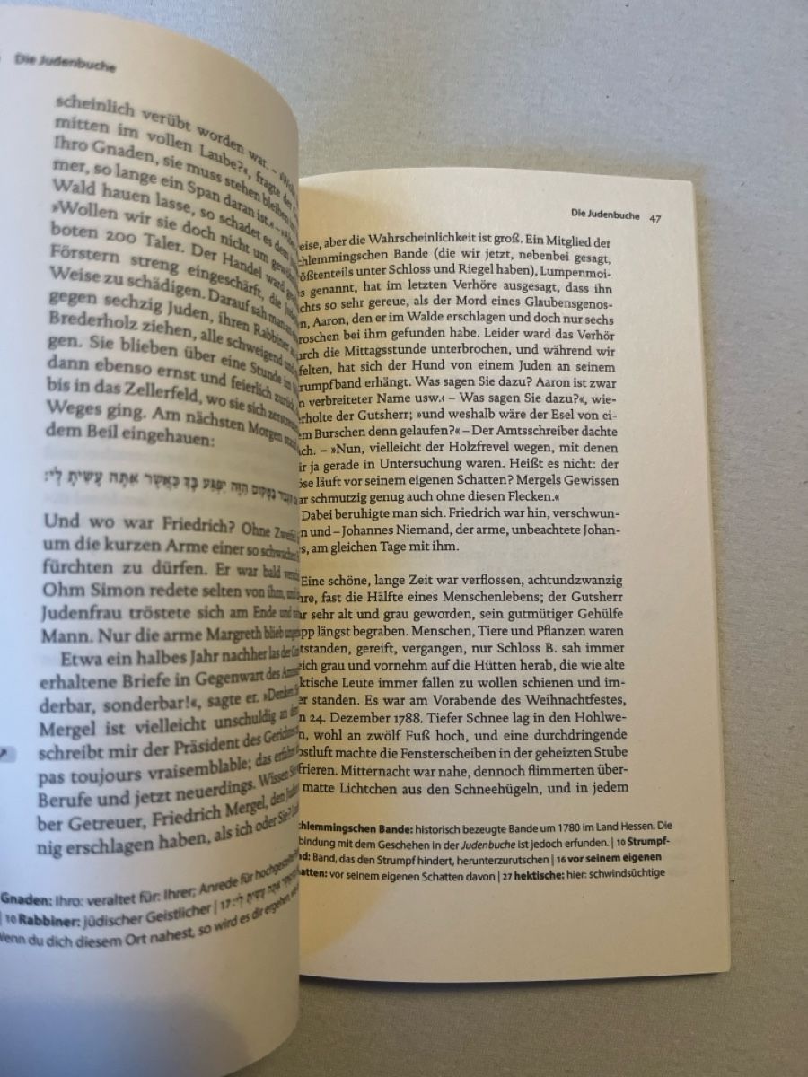 Livres: Die Judenbuche - Annette von Droste-Hülshoff – Neuf (Voir description) à Wettingen par ele_n8lj 1
