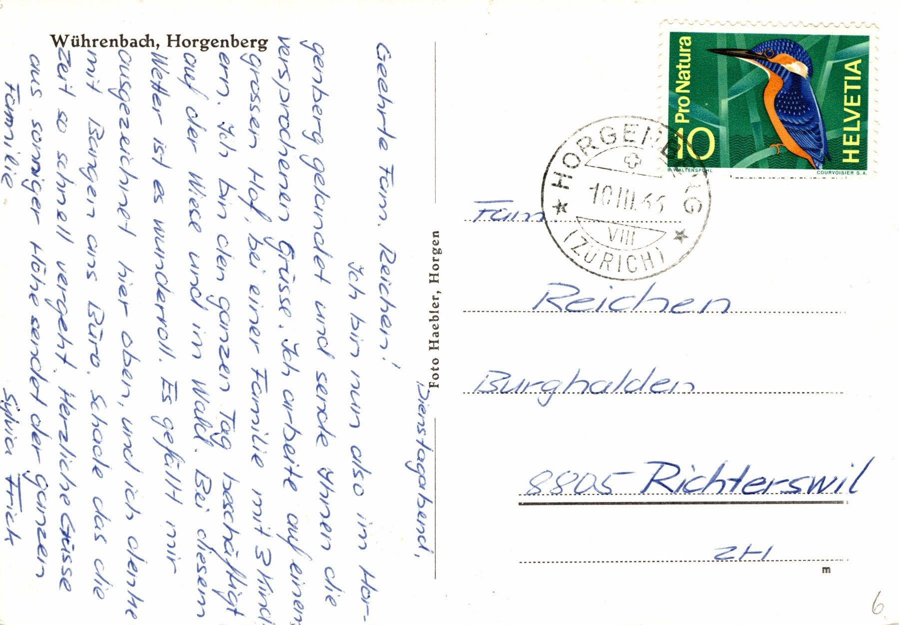 Cartoline postali: Wührenbach, Horgenberg – Usato da Bronschhofen venduto da Astore 1