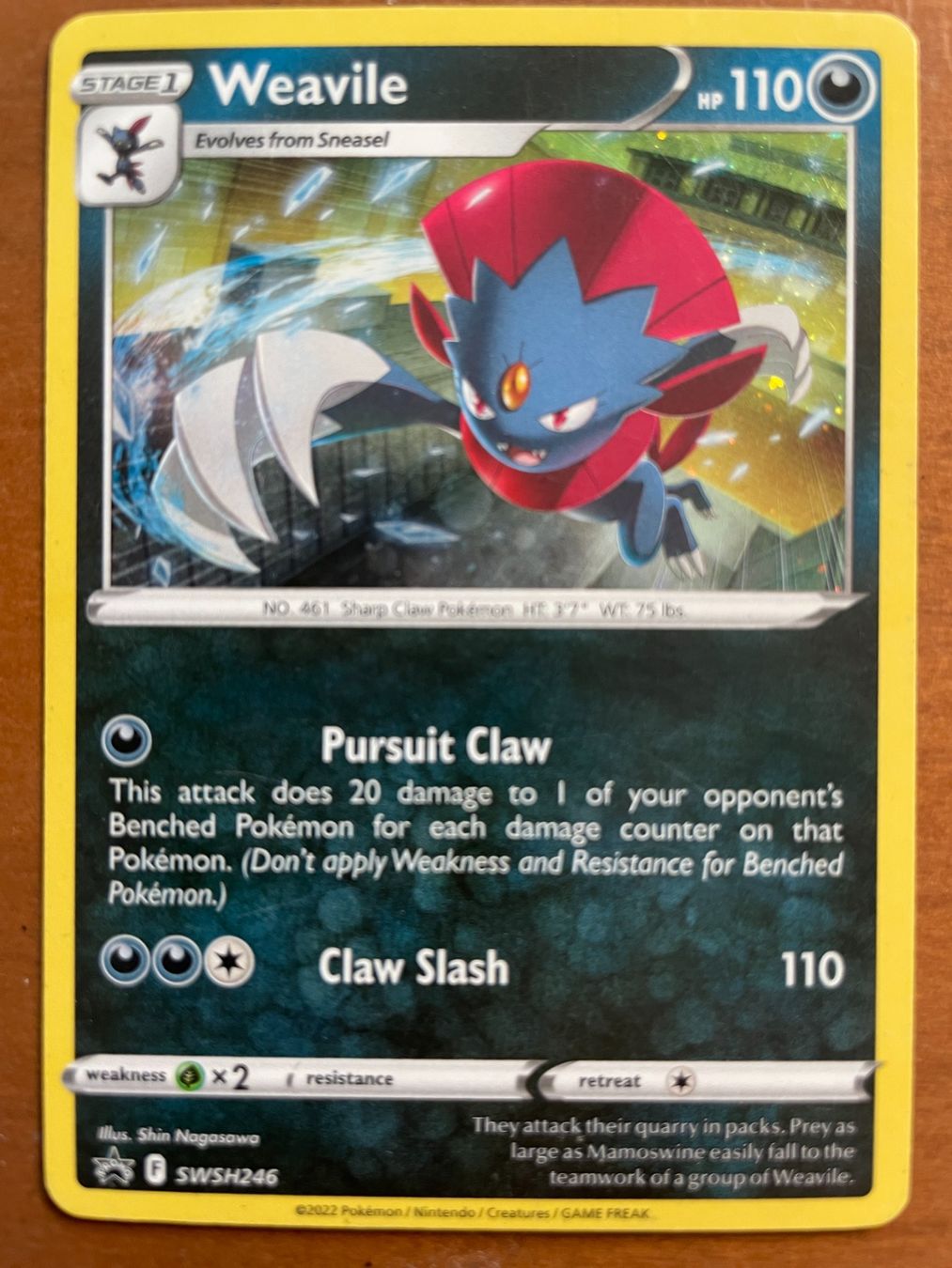Pokémon Carte collezionabili: Pokemon Weavile Holo (Versand gratis) – Nuovo (secondo la descrizione) da Chur venduto da Angerson