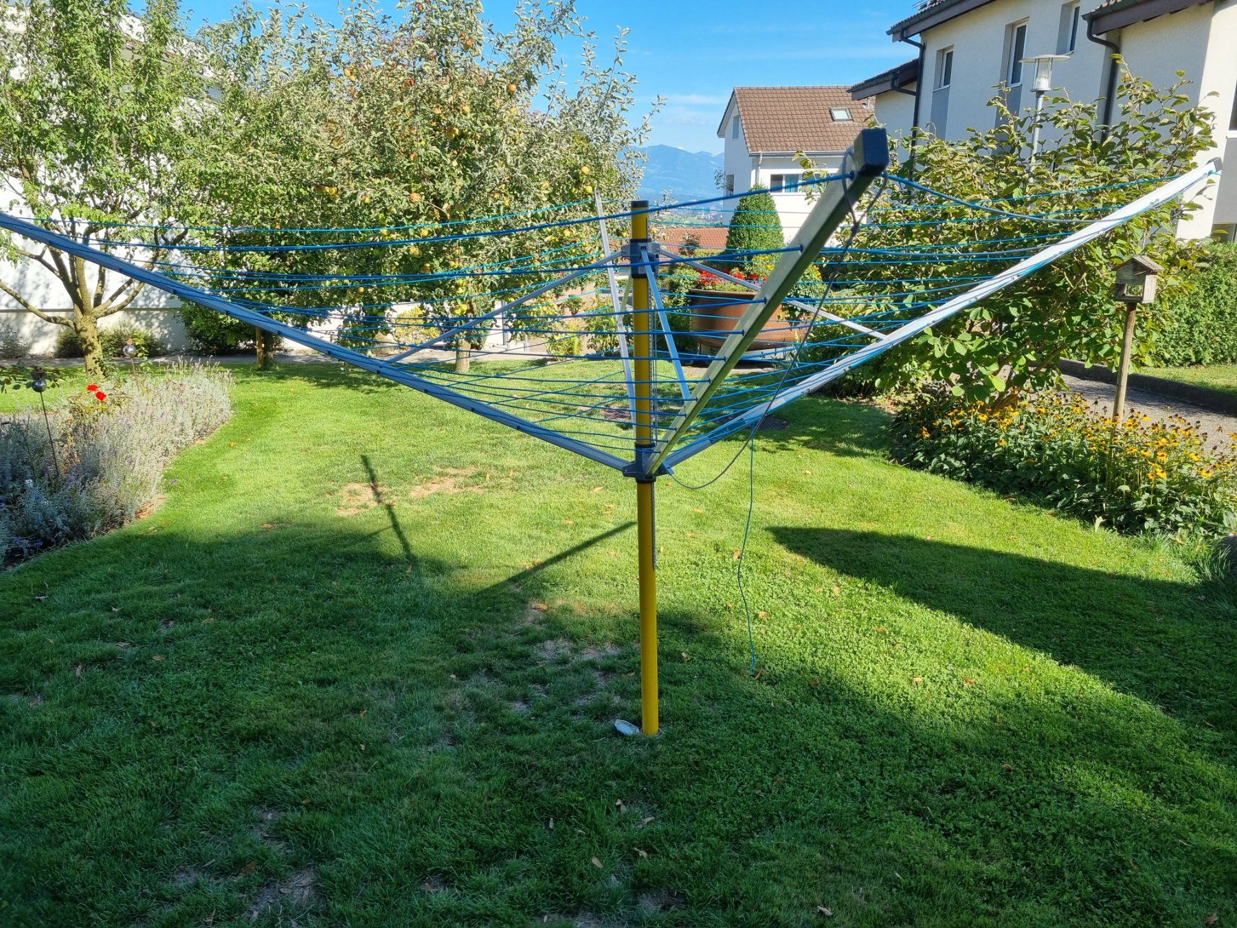 Stewi Stenditoi: stewi DE LUX – Usato da Hellbühl venduto da bentrade 2