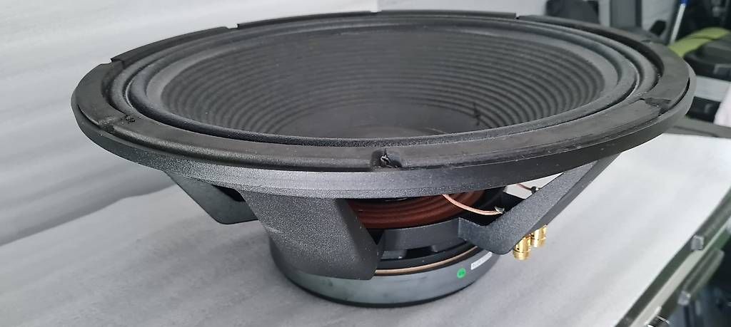 Casse acustiche: 18Zoll Lautsprecher Chassis – Usato da Riehen venduto da ribak 2