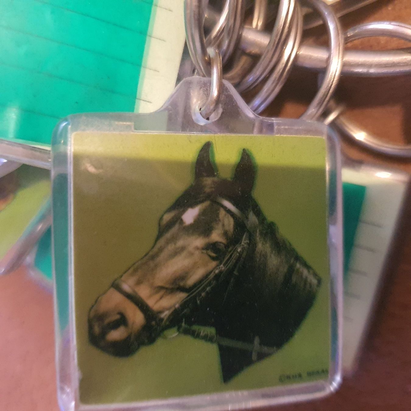 Schlüsselanhänger & - bänder: Porte-clés vintage cheval 4x4 cm – Neu (gemäss Beschreibung) aus DUGNY (-Leytron) von Rdeny