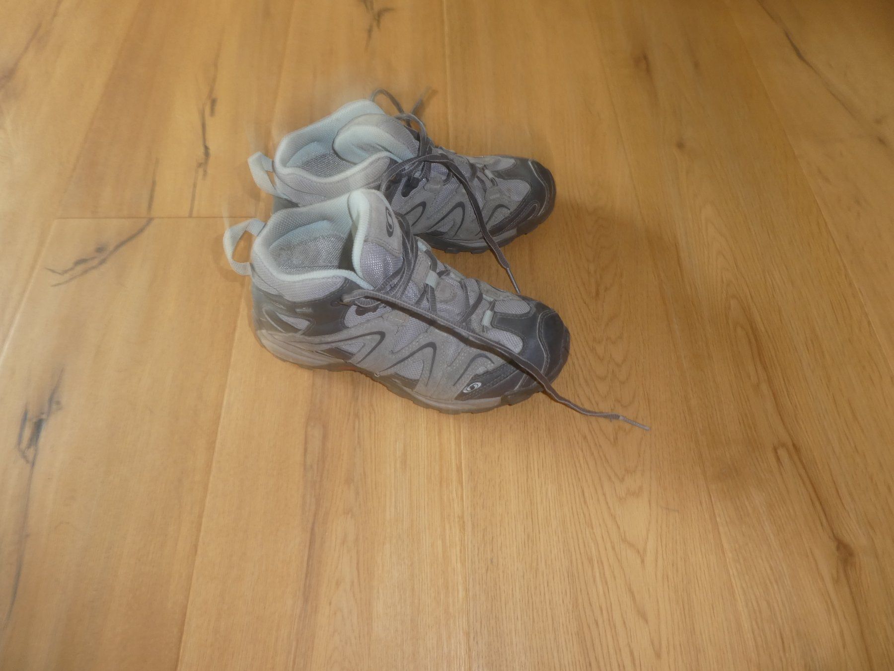 Salomon Herrenschuhe: Wanderschuhe Salomon Gr. 37 – Gebraucht aus Dinhard von heidibei 1