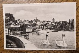 Murten