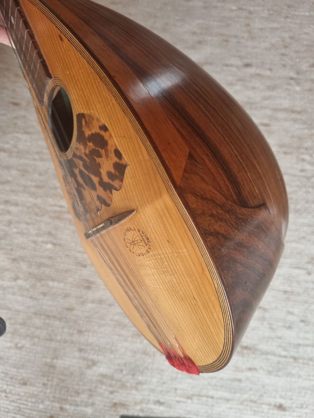 Strumenti musicali: Puglisi Mandoline Catania, Antik, mit Tasche – Usato da Seengen venduto da Anoukian 7