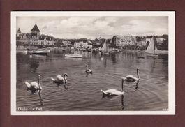 LAUSANNE - Port d'Ouchy - Les Cygnes - 1931
