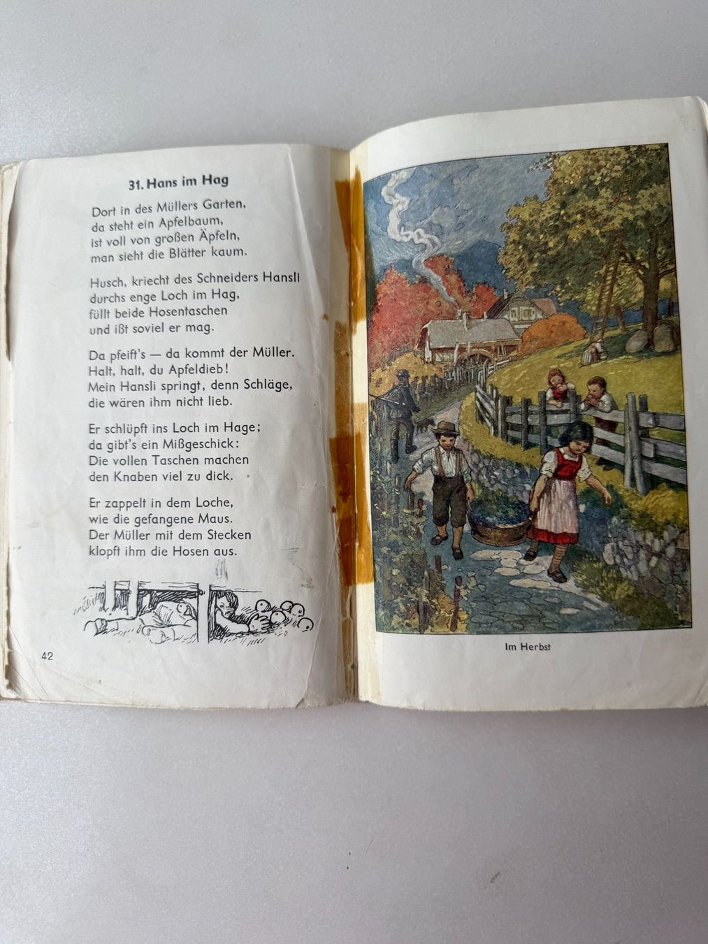 Libri: alte Schulbücher und Rechenheft – Usato da Pfäffikon SZ venduto da Fam.104 4