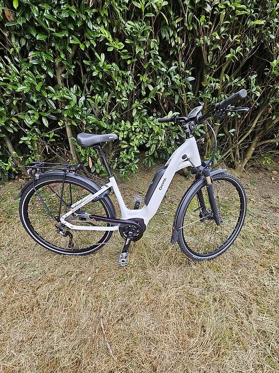 Biciclette: Cresta E-Bike Bosch Performance Line – Usato da Zug venduto da abv_9t5d 3