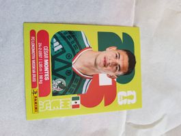 Panini Mex 5
