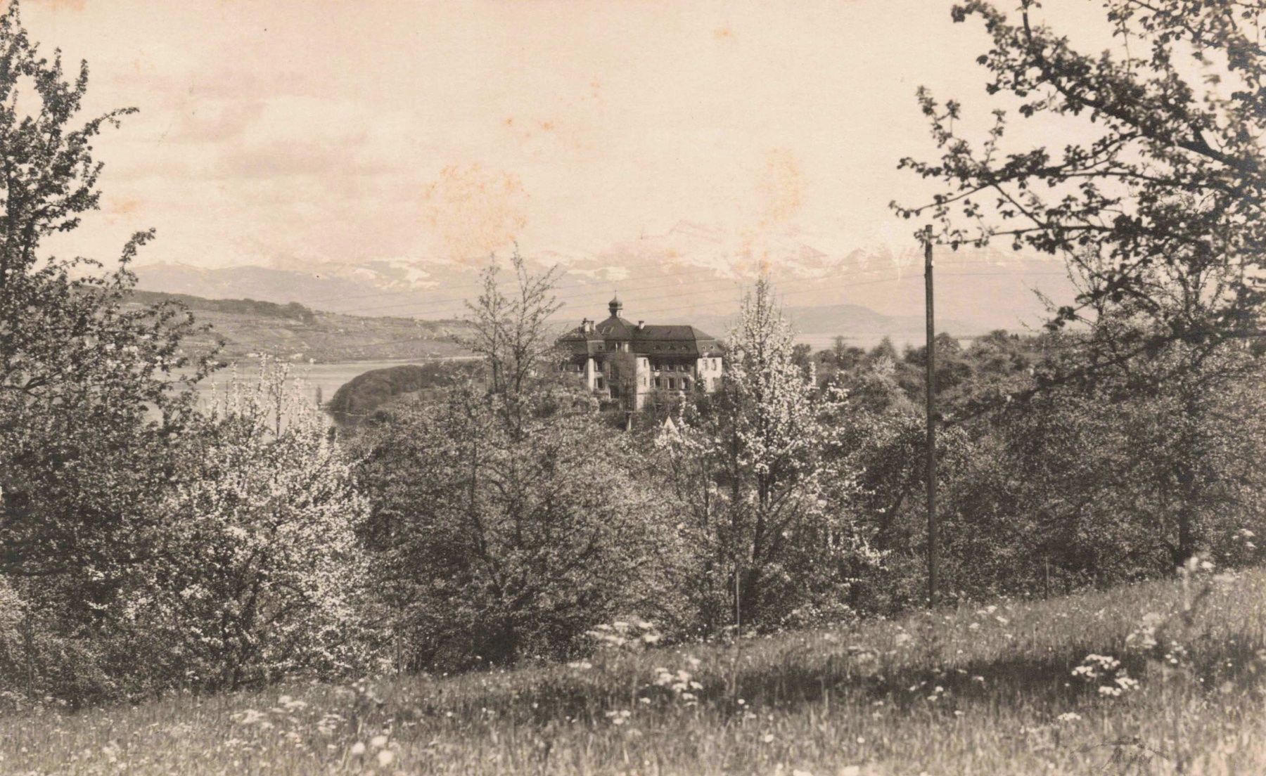 Cartoline postali: Horgen – Usato da Biasca venduto da Blenio71