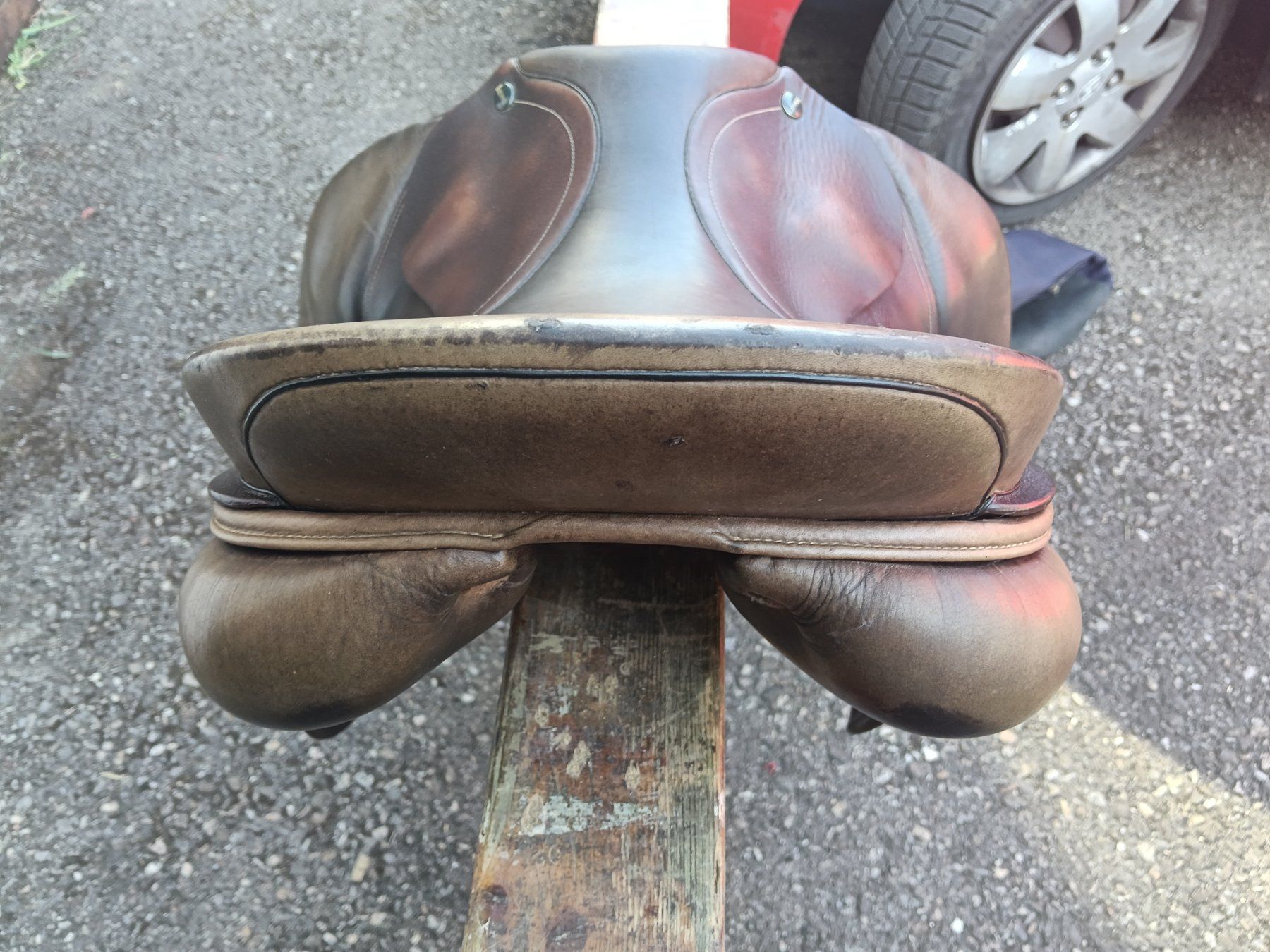 Selle & Accessori: Selle Ikonic – Usato da Lamboing venduto da pet_djp8 4