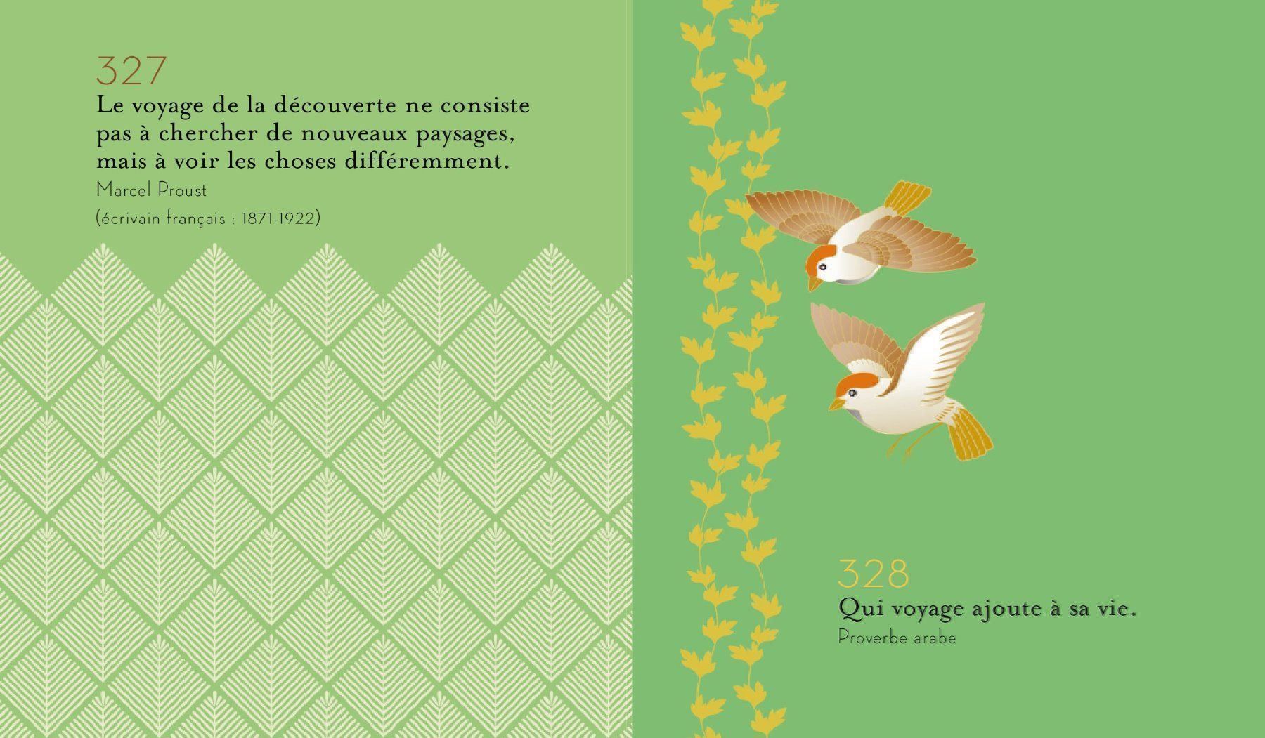 Calendari: Une idée relaxante par jour – Usato da Neuchâtel venduto da Dualseele 3
