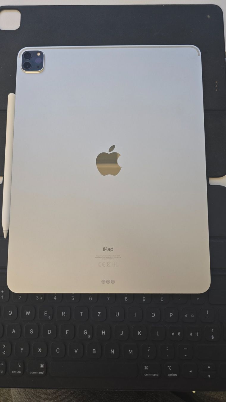 Apple Tablet PC: iPad Pro 12.9 " / Zoll, 4. Generation (10) – Gebraucht aus Winterthur von GreenSkyline 2