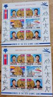 NORDKOREA 2 Blocks **/gestempelt