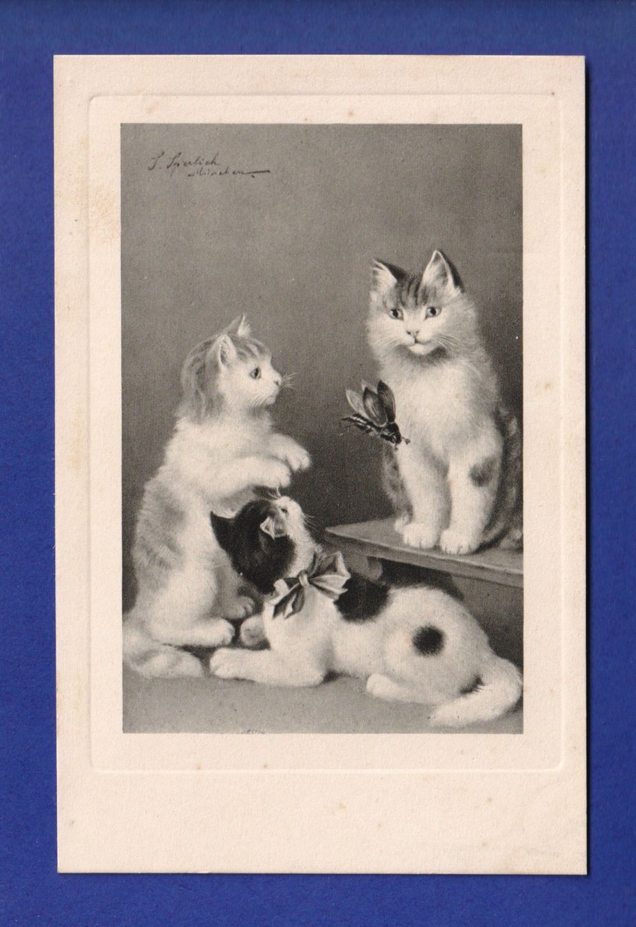 Cartoline postali: CHAT - Chatons et scarabée – Usato da Pully venduto da nicecards-shop