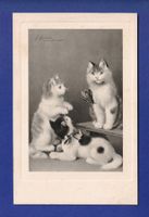 CHAT - Chatons et scarabée