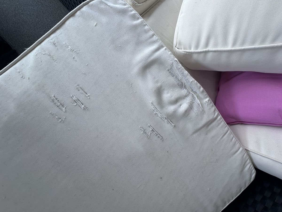 Divani: Lounge von VIPLOUNGE Rattan – Usato da Schmerikon venduto da Seepfaerdchen 6