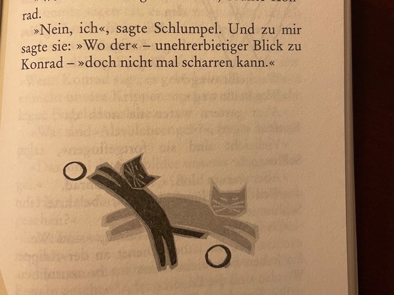 Libri: Katzen Roman von Eva Berberich – Nuovo (secondo la descrizione) da Emmenbrücke venduto da Ladyboutique 7
