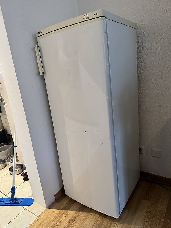 Congelatori: Gefrierschrank mit 6 Schubladen  – Usato da Balsthal venduto da Kalii1 2