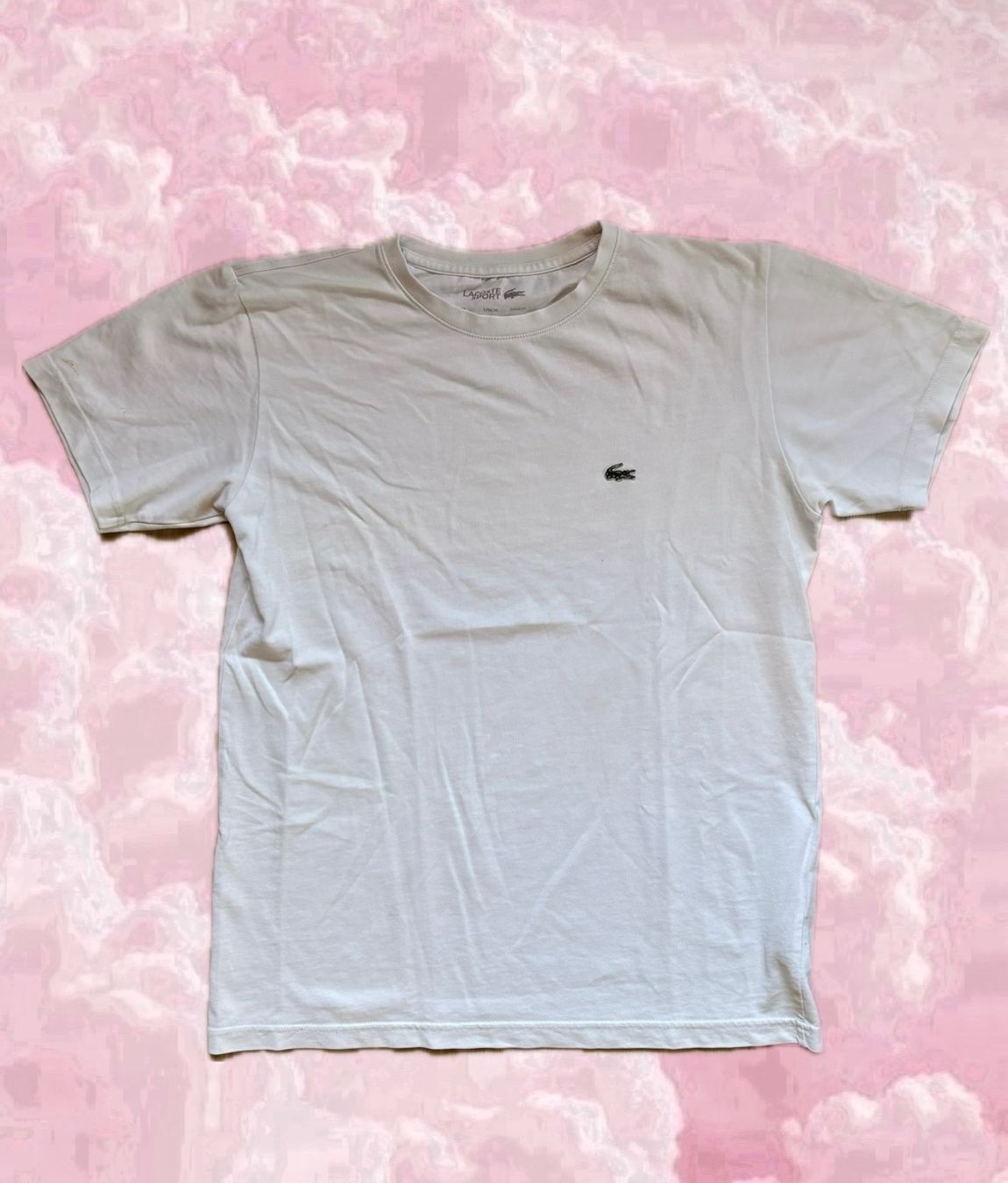 Lacoste T-shirt: La Coste T-Shirt – Usato da Wigoltingen venduto da _vntg_