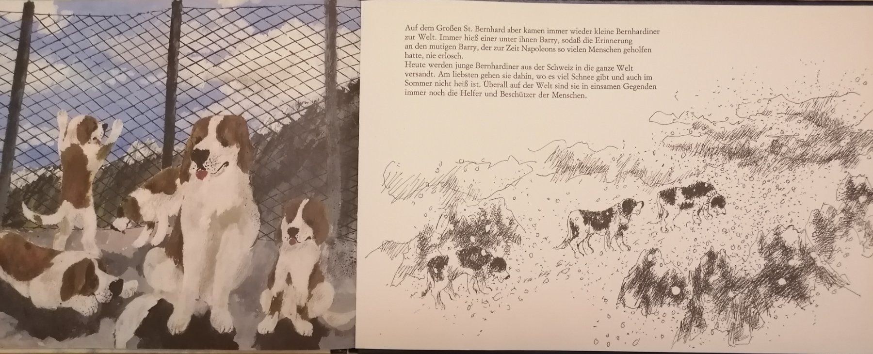 Livres: Barry - Kinderbuch von Atlantis – D'occasion à Schwarzenegg par musi09 5