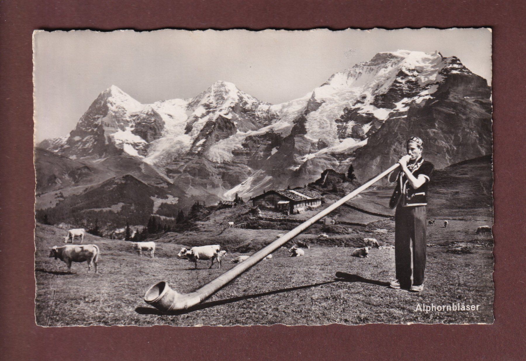 Cartoline postali: ALPHORNBLÄSER - Eiger - Mönch - Jungfrau - 1942 – Usato da Pully venduto da nicecards-shop